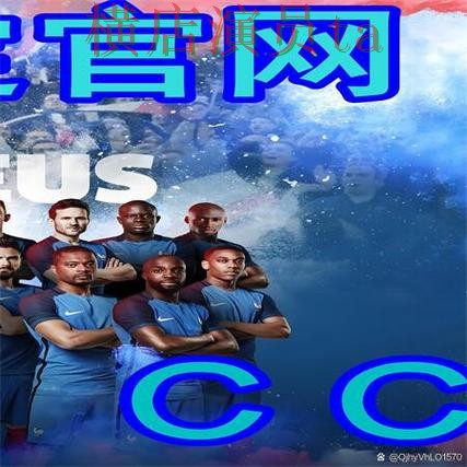 精选世界杯买球网站：从官网直达到使用全流程解析 - 世界杯赛事中心